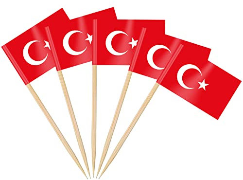 AhfuLife 100/200 Stück Cocktail Stick Flaggen, Zahnstocher Flagge für Sandwich Lebensmittel Cupcake Toppers Cocktail Obst Geschirr Party Supplies Pub Decor (100 Stück, Türkische Zahnstocher Flagge)