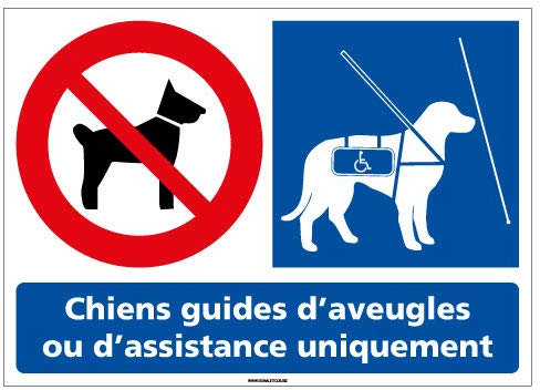Signalétique.biz France - Adhésif Chiens Interdits sauf Chiens Guides d'Aveugles - 105x75 mm - Protection Anti-UV
