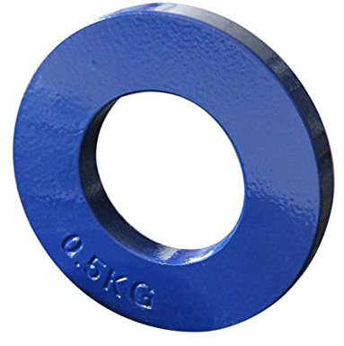 lahomia Micro Olympic Fractional Weight Plate Sets 0.25 Kg,0.5kg,0.75kg,1kg for Olympic Barbells, Used for Strength Training and Micro Loading - Green 0.5kg