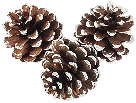matches21 Tannenzapfen Kiefernzapfen mit Schneespitzen Winterdeko Zapfen Streudeko basteln Natur 1 Netz 5-8 cm braun