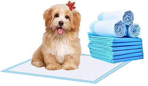 Empapadores Perros con Adhesivo - Almohadillas de Entrenamiento 5 Capas a Prueba de Fugas - Alfombrillas Higiénica Desechables Ultraabsorbente Secado Rápido (60x90cm, 36 Unidades)