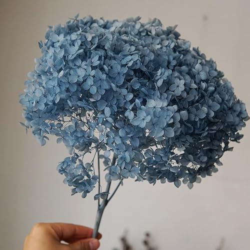 ZEYRU Ortensia stabilizzata Decorazione per ufficio Fiori stabilizzati Decorazione per la casa Ortensia Decorazione per matrimonio-Colore 93