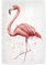 artboxONE Poster 30x20 cm Flamingo Tiere Flamingo Aquarell hochwertiger Design Kunstdruck - Bild Flamingo