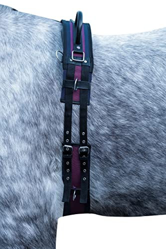 HKM Exclusive Longiergurt Navy/Weinrot Gestreift Vollblut/Warmblut