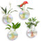 Kingbuy Lot de 4 pots de fleurs en verre à suspendre au mur – Lot de 4 vases à fleurs ovales irisés pour plantes aériennes, terrariums en verre avec supports flottants, décoration d'intérieur bohème