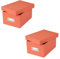 2x Goldbuch Fotobox Bella Vista bis 1400 Fotos 10x15 Foto Aufbewahrungsbox (lachs)