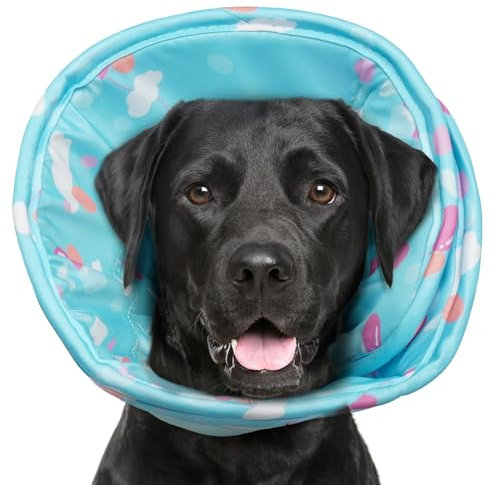 Hjumarayan Collare Elisabettiano Cane Morbido - Cono per Cani Collare Protettivo per Cani, Collari Elisabetta Cane per Recupero, Post Operatorio (Blu L)