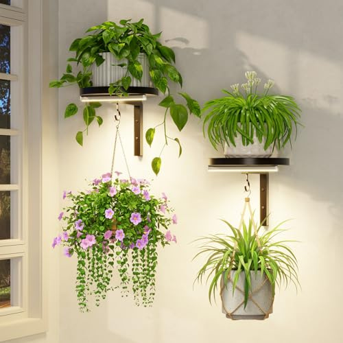 LASZOLA Plant Hanger Holder Shelf Wall Indoor with Lights, 2 Pcs Black | Modern Window Metal Floating Stand, Hanging Flower Display Rack, with Hooks for Outdoor Home Kitchen Decor