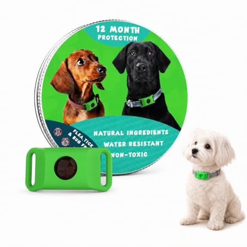 Evacare 12 Monate Floh- Und Zeckenfrei Natürlicher Hunde Anhänger Ohne Chemische Pestizide Mit Langsamer Freisetzung Leichtem Tragegefühl Für Welpen Kleine Mittlere Und Große Hunde (Grün,2PCS)