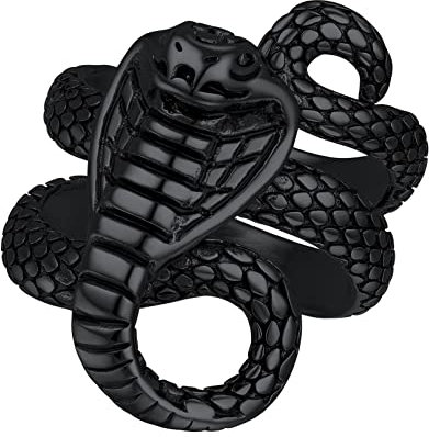 Bandmax Herren Damen Schwarzer Schlange Knochenform Ring aus Edelstahl Snake Ring Ringgröße 64 Gothic Punk Fingerringe Schlange Ring Schöner Tierring Halloween Schlangenschmuck