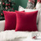 MIULEE 2er Set SAMT Weihnachten Kissenbezug Kissenhülle Dekorative Dekokissen Sofakissen Lendenkissen Wurfkissenbezug mit Verstecktem Reißverschluss Sofa Schlafzimmer 20 x 20 Inch 50 x 50 cm Rot