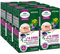6x L'Angelica 14 Erbe della Giusta Regola Integratore Alimentare per l'Intestino - 450 Compresse