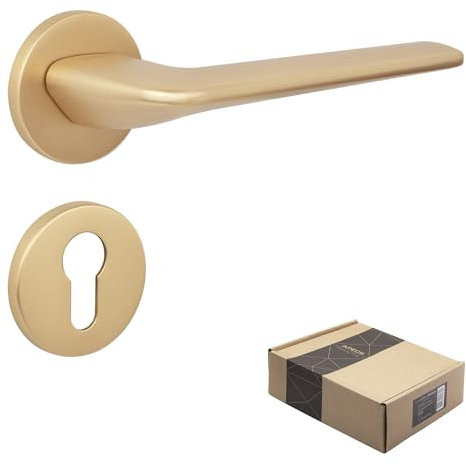 APECS Türgriffe innentüren Modern Türklinke für Haustür Innentür mit quadratisch Rosetten Türgriff gold matt Drückergarnitur mit Befestigungsmaterial Türbeschlag Modell CAPELLA PZ - Profizilinder