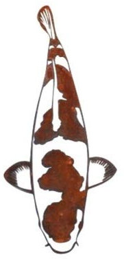 Japan Koi Edelrost Koi Kohaku 50cm