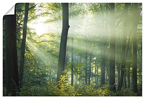 ARTLAND Wanddeko Poster & Kunstdrucke Wandposter 90x60 cm Querformat Landschaftsbilder Wald Natur Sonne Bäume Landhausstil U1VX