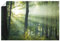 ARTLAND Wanddeko Poster & Kunstdrucke Wandposter 90x60 cm Querformat Landschaftsbilder Wald Natur Sonne Bäume Landhausstil U1VX