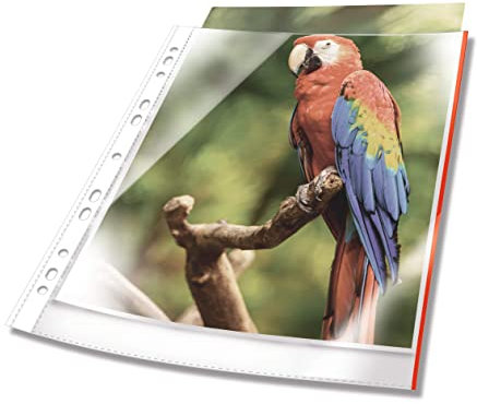 DURABLE Lot de 10 pochettes à prospectus A4 ouvertes sur le dessus Transparent Rouge