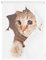 Lichtblick Klemmfix Verdunklungs-Rollo mit Motiv, ohne Bohren, Blickdicht, Seitenzugrollo, Made in Germany, Katze - Weiß Braun 100 x 150 cm (B x L)