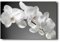 LZIMU Orchid Canvas Wall Art Blooming White Orchid Floral Picture Prints Zen Paintings Meditation Artwork for Bathroom Yoga Spa Room Decor Framed(Picture-1, (12.00 x 18.00))