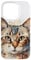 iPhone 14 Pro Cat Watercolor Graphic Case
