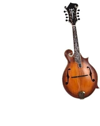Handmade Professional-grade All-solid-board Mandolin Ebony Bridge