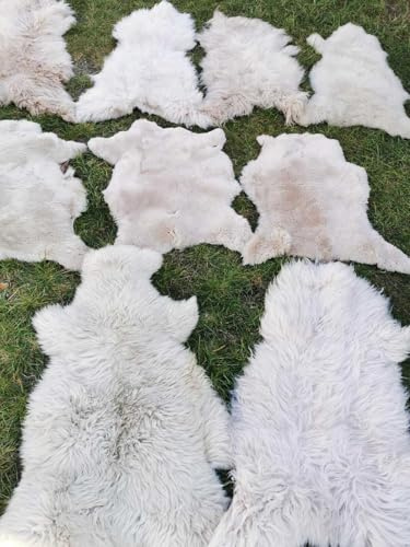 Echte Öko Schaffelle Lammfell Schaffell Fell Hell Braun Bis 140cm 2.Wahl Weich (eher lang (5cm - 15cm), 40x40cm rund)