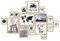 PHOTOLINI goldene Bilderrahmen Set verschiedene Größen, 17 Bilderrahmen Holz MDF gold, Bilder Rahmen mit Acrylglas, Bilderrahmenset zum Aufhängen, Fotorahmen Set mit Zubehör für Fotos & Poster