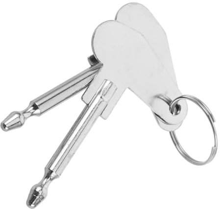 HORIALENCE 2pièces Clés De Remplacement Pour Allumage De Tracteur Accessoire Pour Tondeuses Et Excavatrices