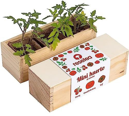 Resetea | Kit Autocultivo | Mini huerto de tomates | Cherry, corazón de buey y raf.