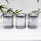 Set 3 Grey Glass Stainless Steel Tea Coffee Sugar Storage Jars