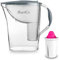 PearlCo - Wasserfilter Standard (grau) mit 1 Magnesium classic Filterkartusche - passt zu Brita Classic