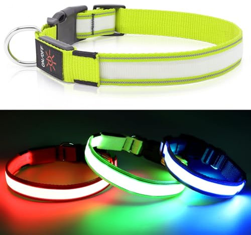Visinite Leuchtendes LED-Hundehalsband, Wiederaufladbar, Wasserdicht, Reflektierend, Vollständig Verstellbar, Blinkend, für Mittelgroße und Große Hunde, Grün, L