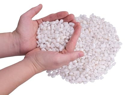 LONGTEAM Piedras decorativas, guijarros pulidos naturales, grava para interiores y exteriores para maceta, pecera, paisajismo, rellenos de jarrón (2 libras, blanco)
