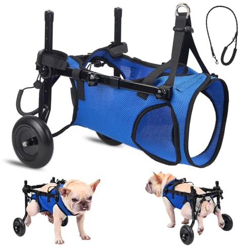 Chaise Roulante Chien Taille M 5,5-10kg Réglable Pliable Paralysie Arrière