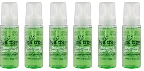 Tea Tree Foaming Face Wash, Daily Use Cleansing Foam for Clean Healthy Skin, 200ml, Pack of 6