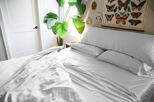 Pillowtex Bettlaken-Set aus Kupfer und Bambus, leicht, erhältlich in Queen- und King-Size-Größen Queen weiß