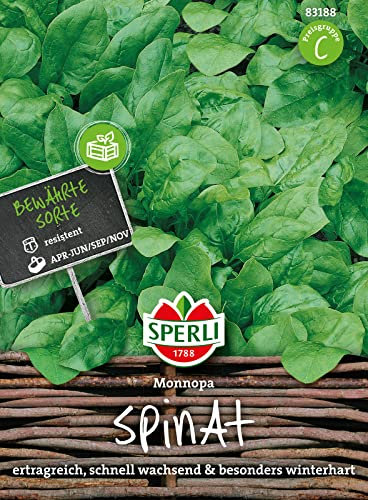 83188 Sperli Premium Spinat Samen Monnopa | Spinat Saatgut | Ertragreich und Schnellwüchsig | Saatgut Spinat | Spinatsamen | Für ca. 1500 Pflanzen