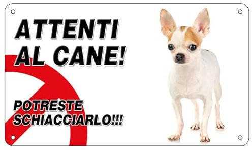 NEW CARTELLO SEGNALETICO - Attenti al cane chihuahua, POTRESTI SCHIACCIARLO - Adesivo Extra Resistente, Pannello in Forex, Pannello In Alluminio (ADESIVO 20X31 CM)
