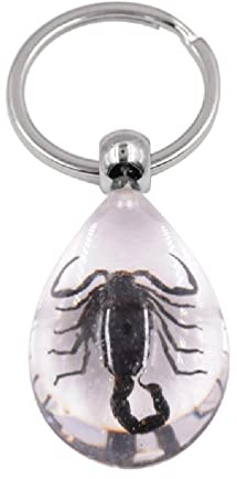 Ixkbiced Porte-clés Insecte Clair Porte-clés Insecte en résine véritable spécimen d'insecte Cadeau de fête Pendentif Cadeau d'anniversaire de Vacances pour Femmes Hommes Porte-clés Insecte Porte-clés