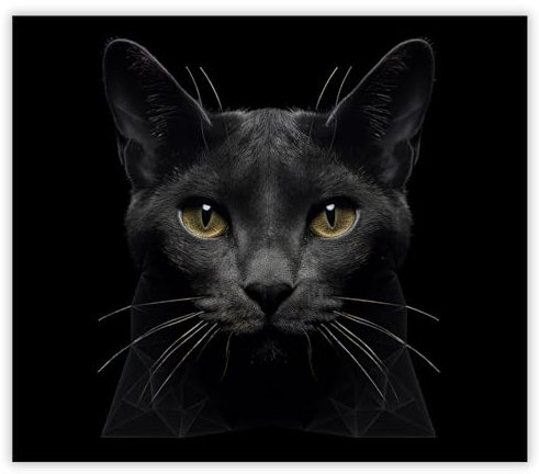 SMTDeco Herdabdeckplatte Ceranfeld Abdeckplatte Herdabdeckung Herdplatten Abdeckungen Induktionskochfeld 60x52 cm 1-tlg. Katze Schwarz