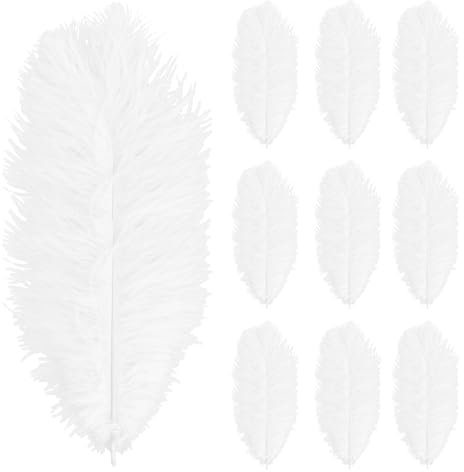 Wisebom 10 Stück Straußenfedern, 10-12inch (25-30cm) Natürliche Straußenfedern Strauß Feder zum Basteln für DIY Traumfänger Zubehör Heimdekoration KostüMe Tischdeko Hochzeit Party Fest (Weiß)