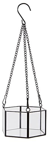 NVOQILIN Hängendes Glas-Terrarium, sechseckig, Sukkulenten-Halter, Wand-Pflanzgefäß