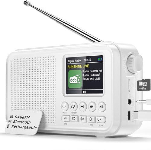 Radio Portable Dab&FM,Bluetooth,Batterie Rechargeable de 3000 mAh,Compatible avec Les Cartes TF jusqu'à 64 Go,Type-C Port,Prise Casque,40 Stations Préréglées pour FM et 40 Stations Dab,Double Réveil