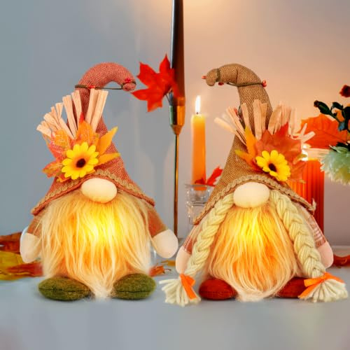 Hojalis Herbstdeko Wichtel, 2 Stück Herbst Dekoration Wichtel Mit LED Licht,Herbstdeko Wichtel, Leuchtende Plüsch Wichtel Figuren, Herbstdeko Wichtel Figuren Plüsch Für Erntedankfest Weihnachten Party