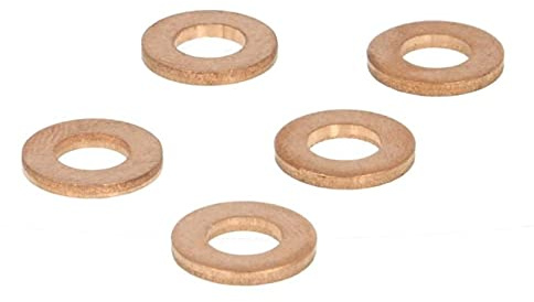 DELPHI 9001-850D-12B1 Dichtring Einspritzventil