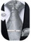 DiBanGu Herren Krawatte Taschentuch Seide Paisley Floral Krawatte Pocket Square Manschettenknöpfe Krawatte Clip Set, Silbergrau, One size
