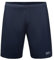 GOREWEAR R5 2in1 Shorts, Orbit Blue, S