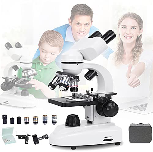 Microscopio Binocular Compuesto 40X-6000X, con 30 muestras/Soporte para teléfono móvil/calibrador a Vernier/Bolsa, etc., microscopio óptico para Escuela/hogar/Laboratorio, C (A)/C (D)