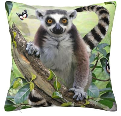 EVANEM Ringschwanz Lemur Quadratischer Kissenbezug - Plüsch Sofakissenbezug für Sofa, Stuhl, Polster 45,7 x 45,7 cm