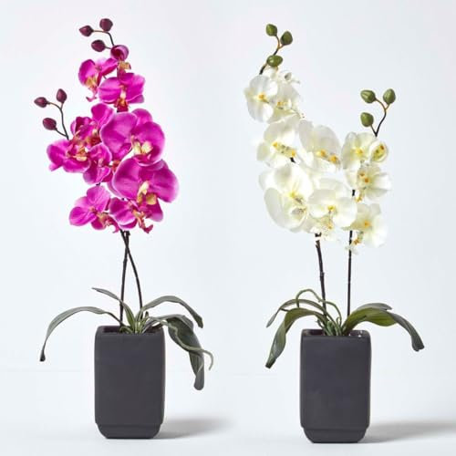 Homescapes 2er-Set Künstliche Orchideen im Topf, pink & Creme, 55 cm, Kunst-Orchideen wie echt im schwarzen Keramik-Topf